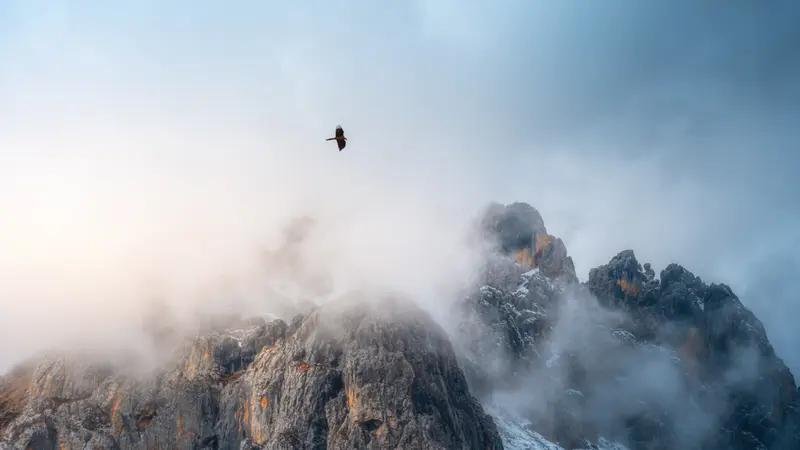 上联：振翅云巅，破雾穿霄凌日起；
下联：扬蹄原野，迎风踏月乘霞归。