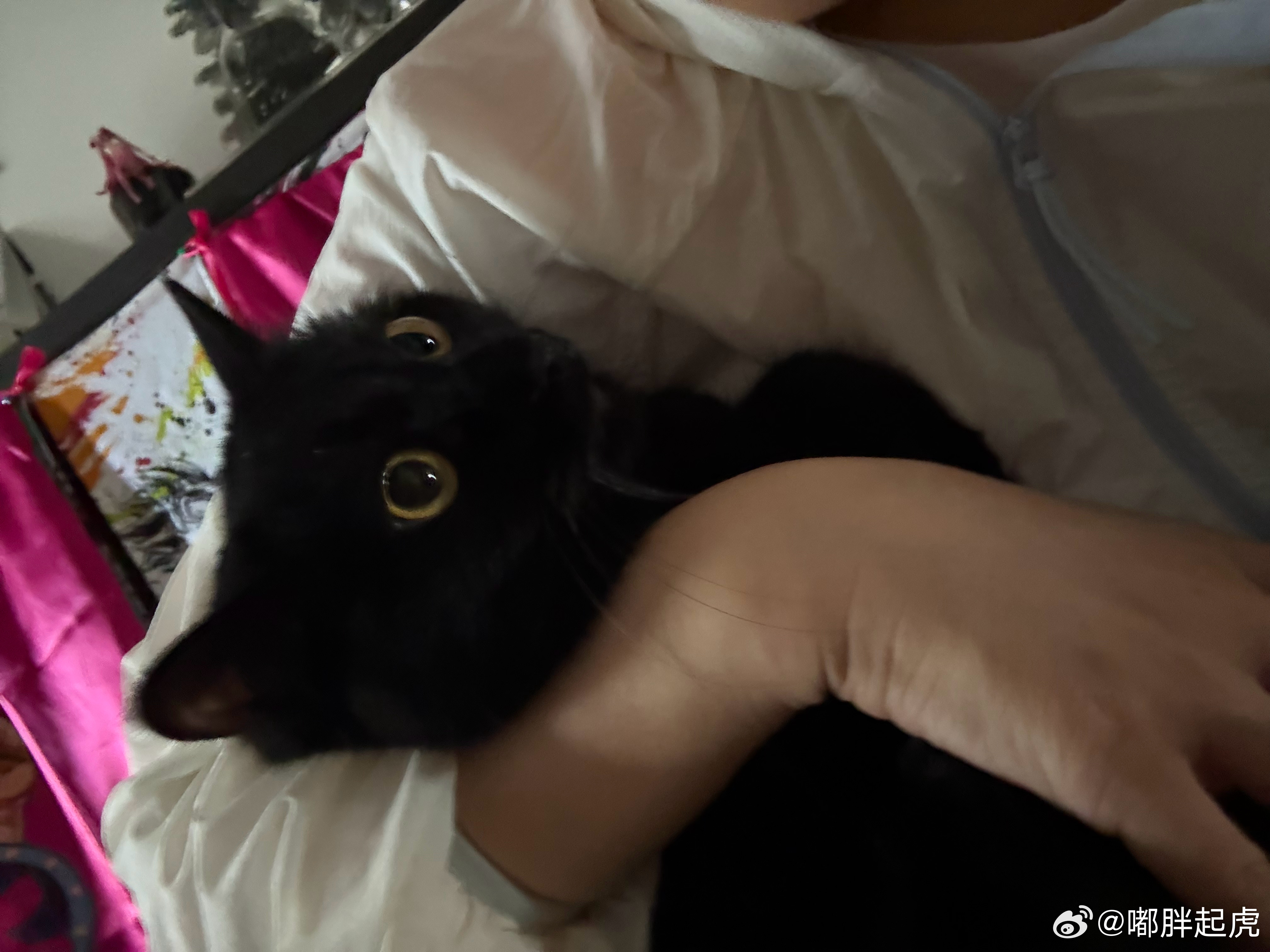 哟，你看这也不谁家小孩儿，黑漆麻乌的就往我怀里钻 ​​​