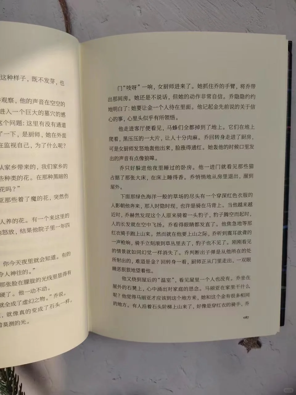 像毕加索绘画一样的小说