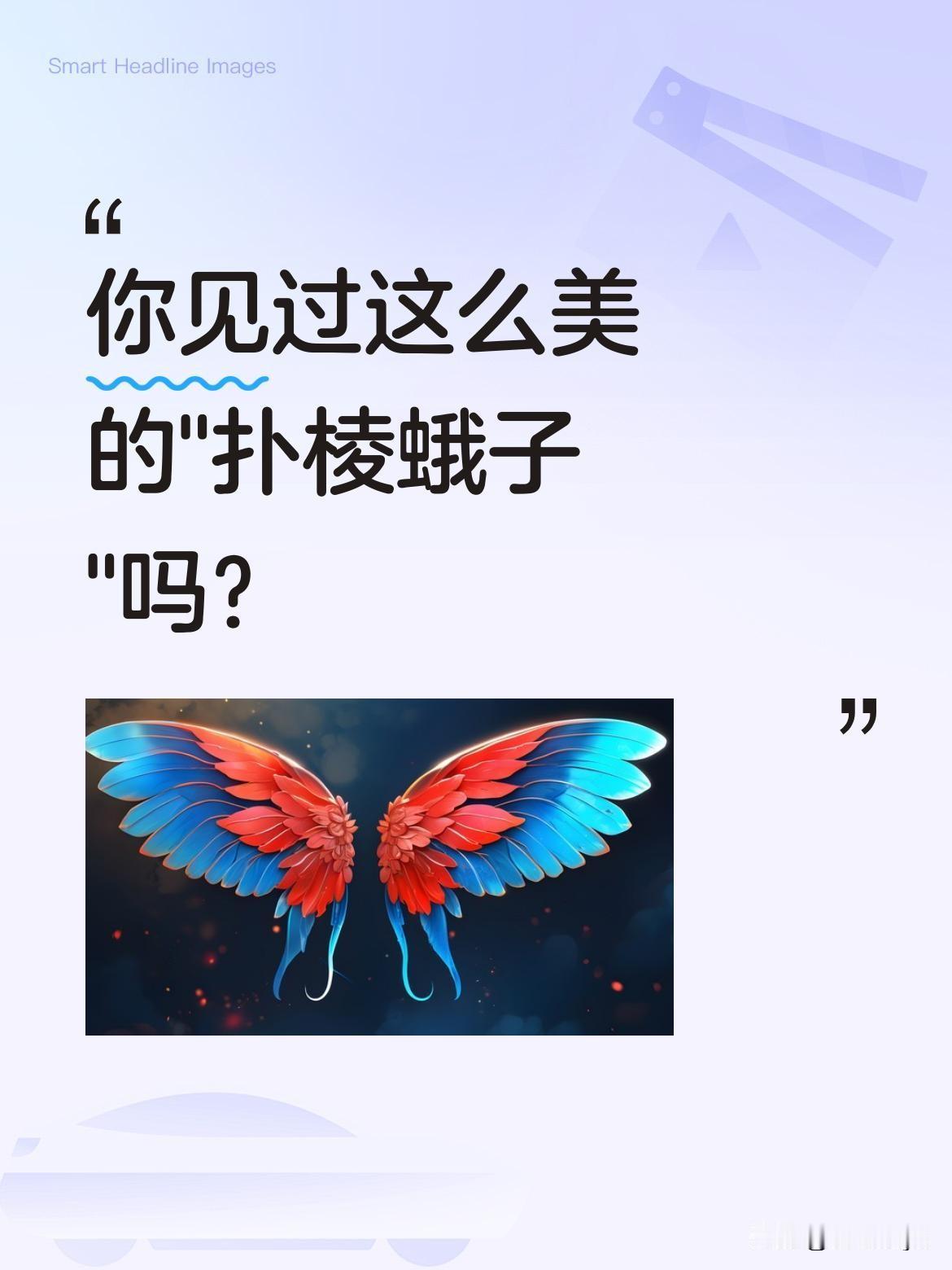你见过这么美的"扑棱蛾子"吗？
网友家里飞来只漂亮大家伙，静静趴着时像窗帘装饰，