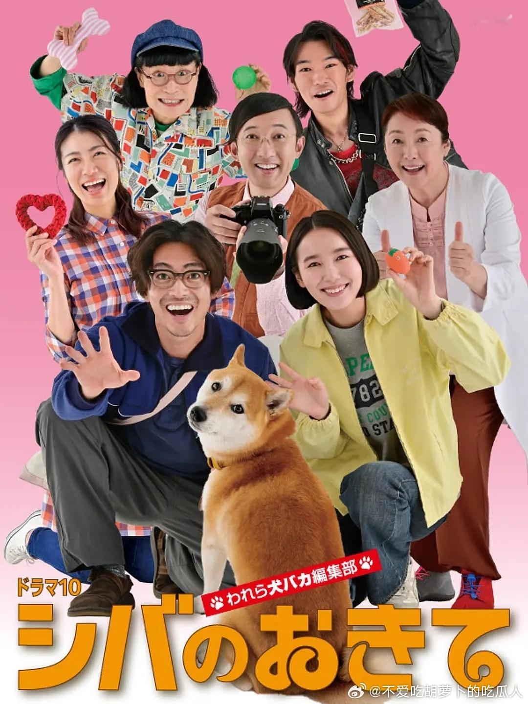 今日新剧上线 日剧柴犬的规矩～我们这群狗痴俱乐部～  今日上线，共9集，大东骏介