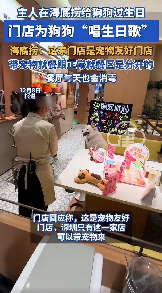 海底捞给狗过生日卫生如何保障【深圳一主题海底捞给狗狗过生日 海底捞回应给狗过生日