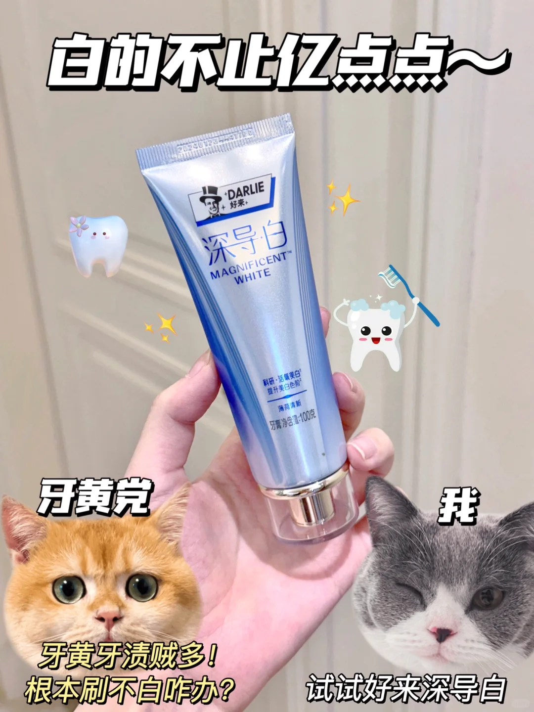 本i人自信社交的底气是它给的！