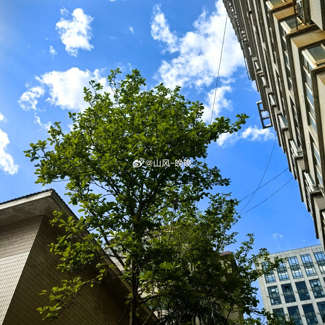 山风晚晚人生最美的遇见，是我刚好路过，你恰好盛开～繁花盛放，人间温柔，亦浪漫。山