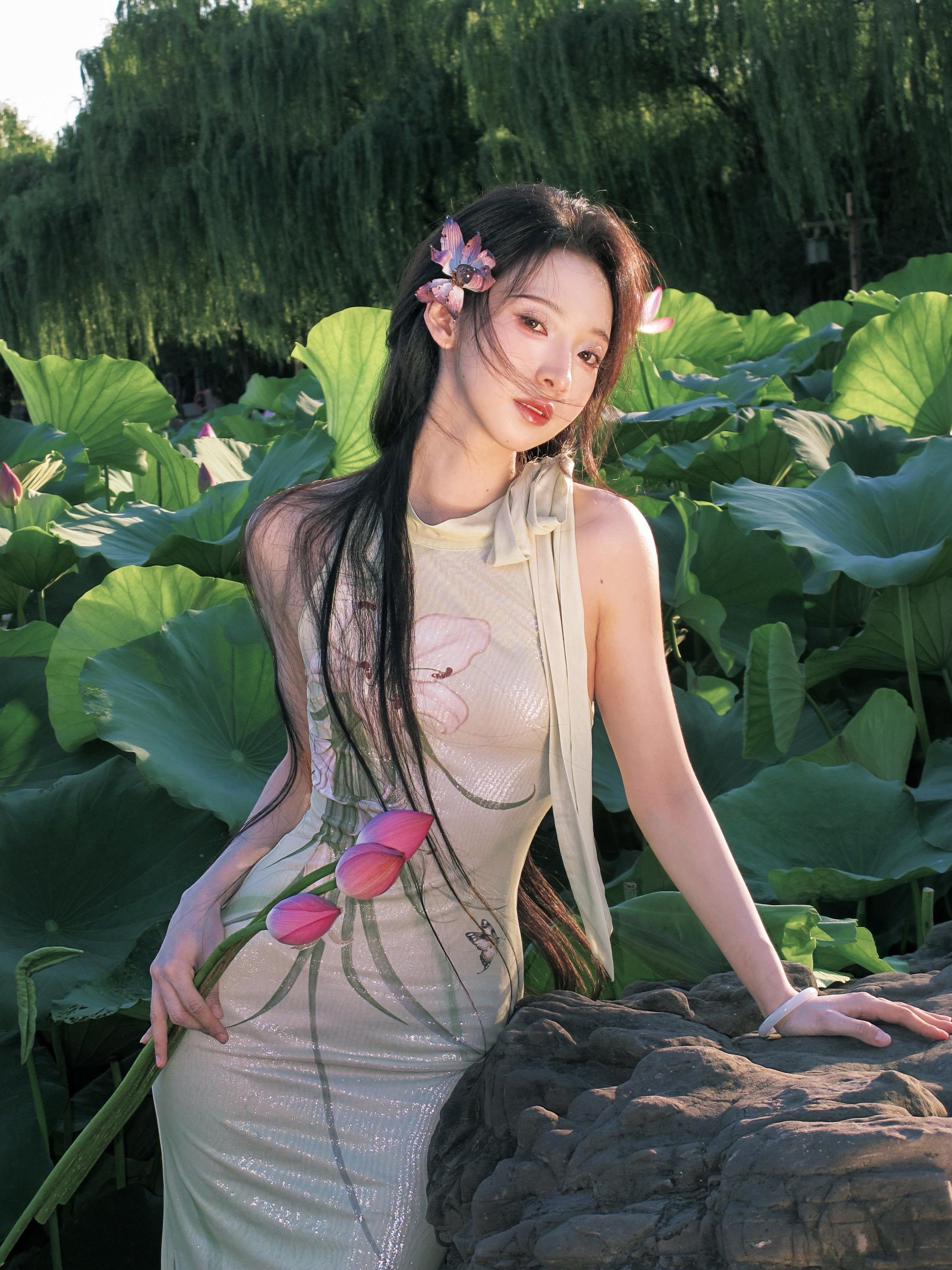“一朵芙蕖”