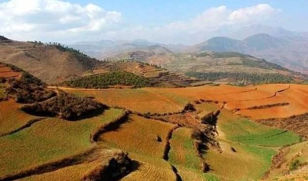 王安石，1021年出生在江西临川，家里不算大富大贵，但也算书香门第。他从小就聪明