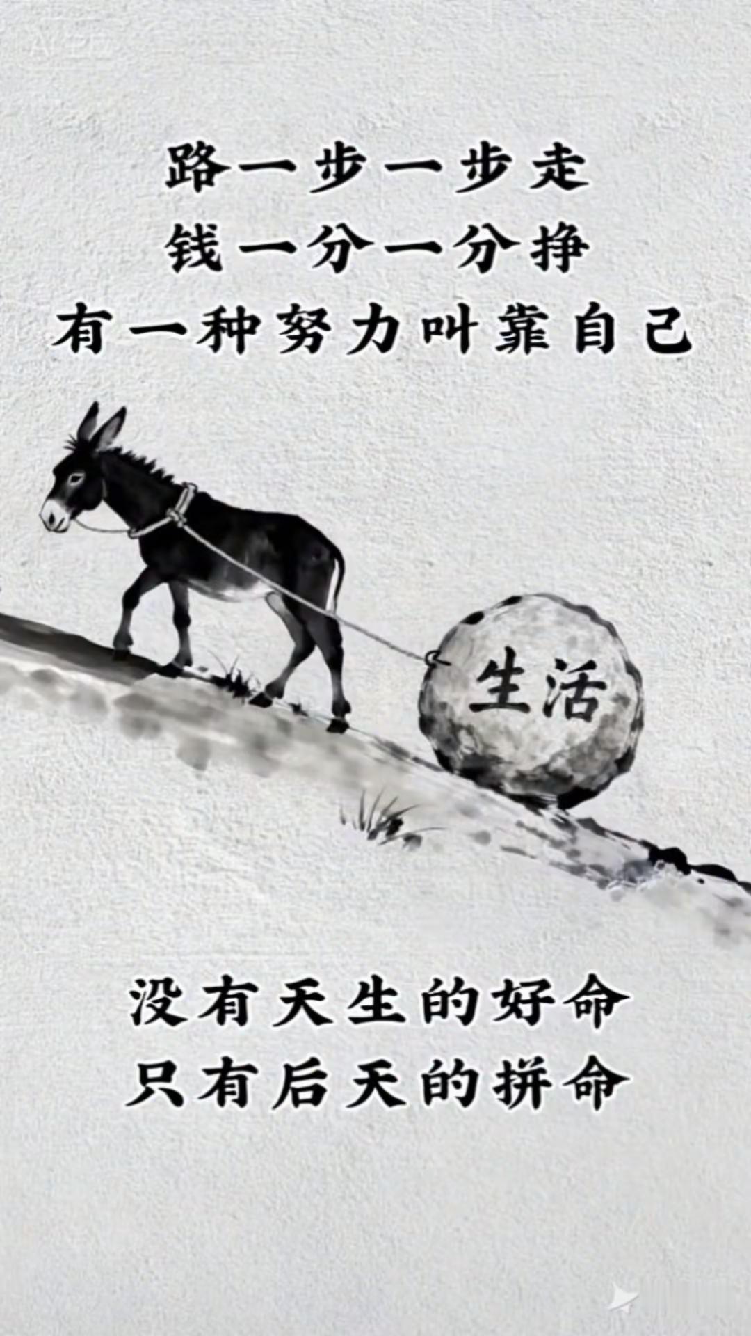 那有什么岁月静好，只有负重前行