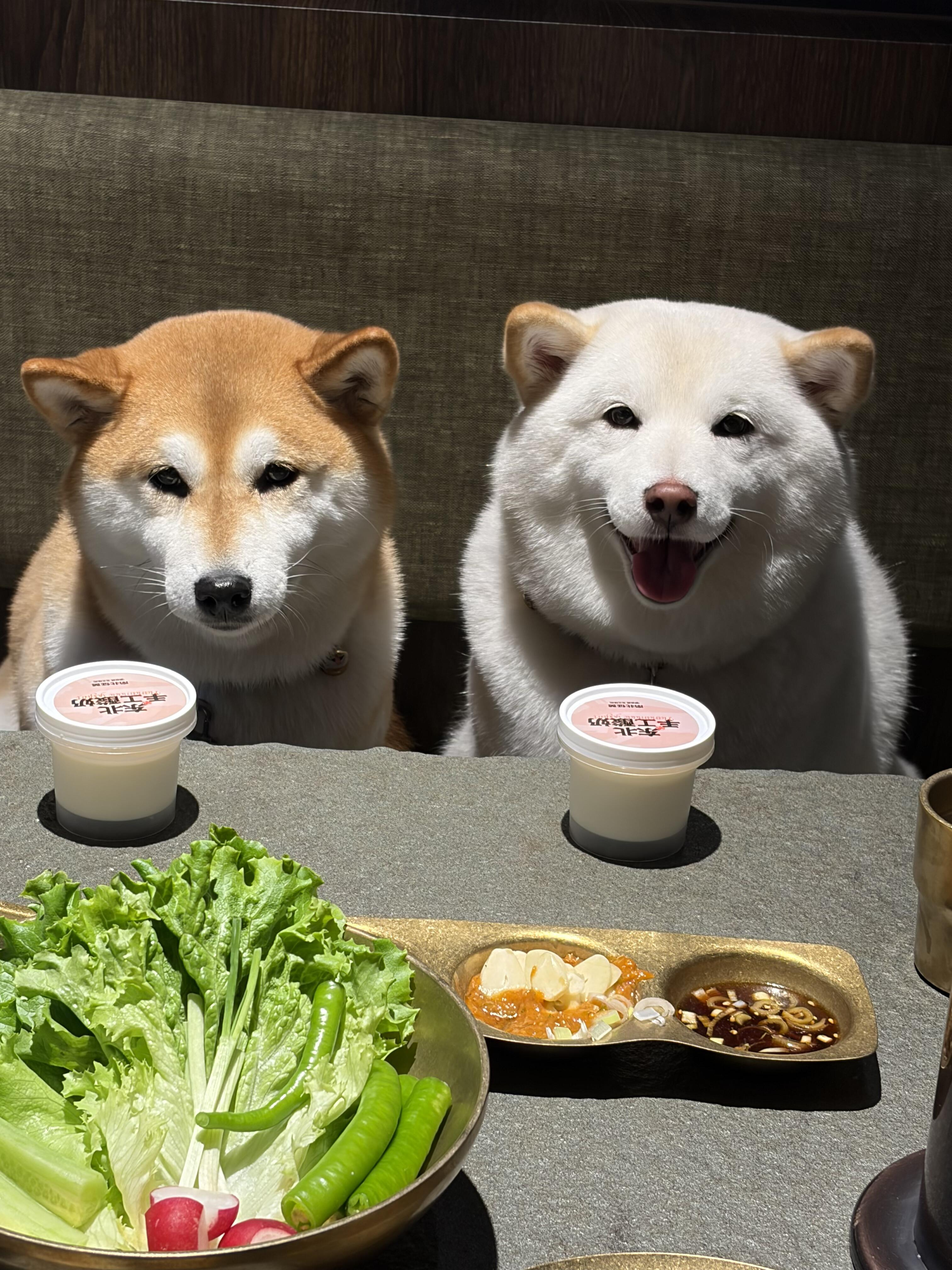 “像极了男人出门不想拍照的样子” 