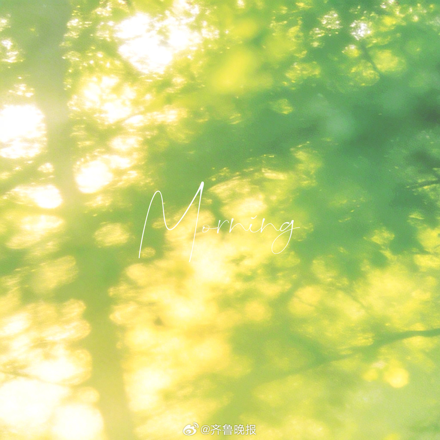 把清晨过成温柔的序章#早安#