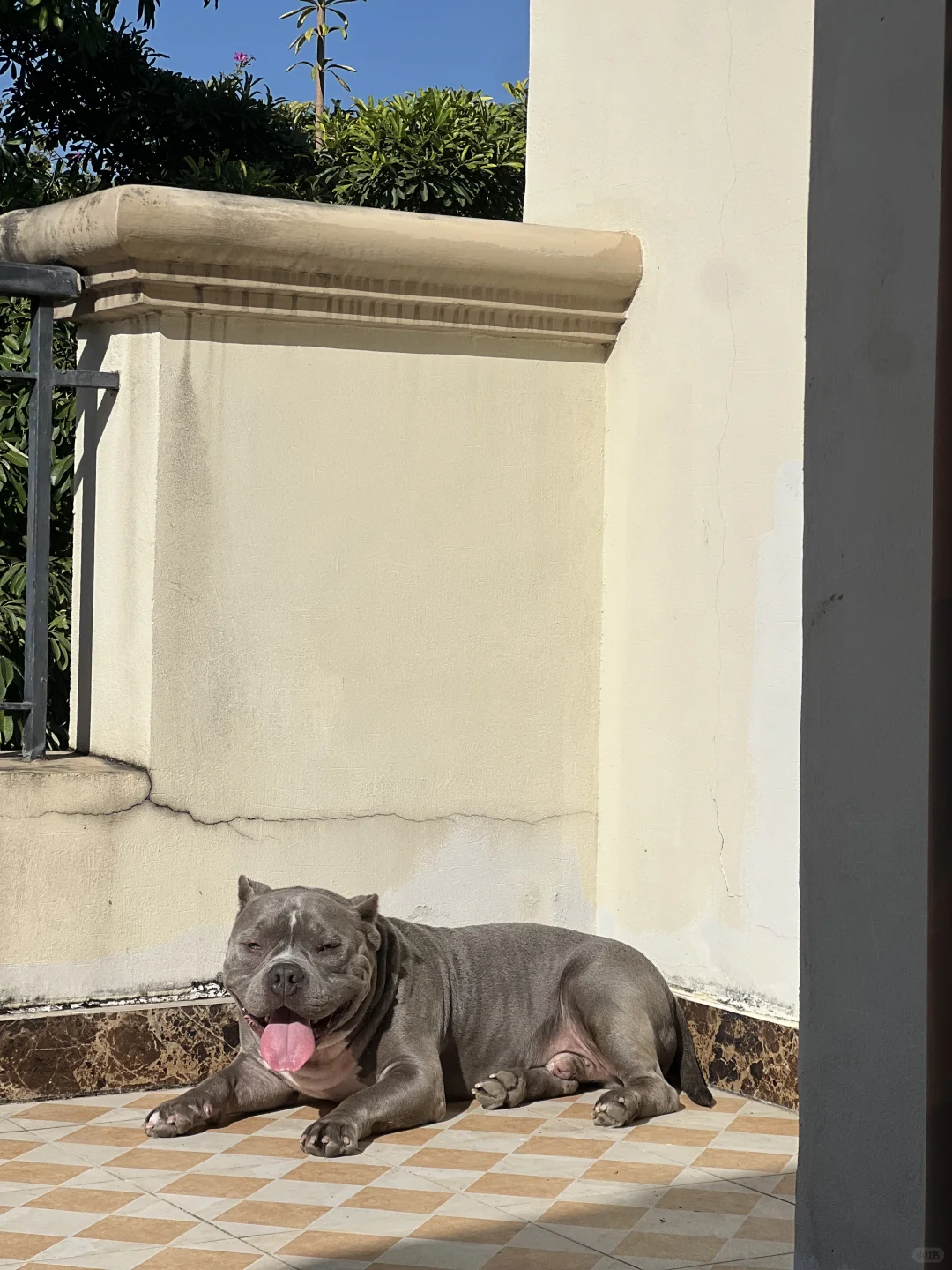 EE们 妈妈说我瘦这个宝宝我需要减肥