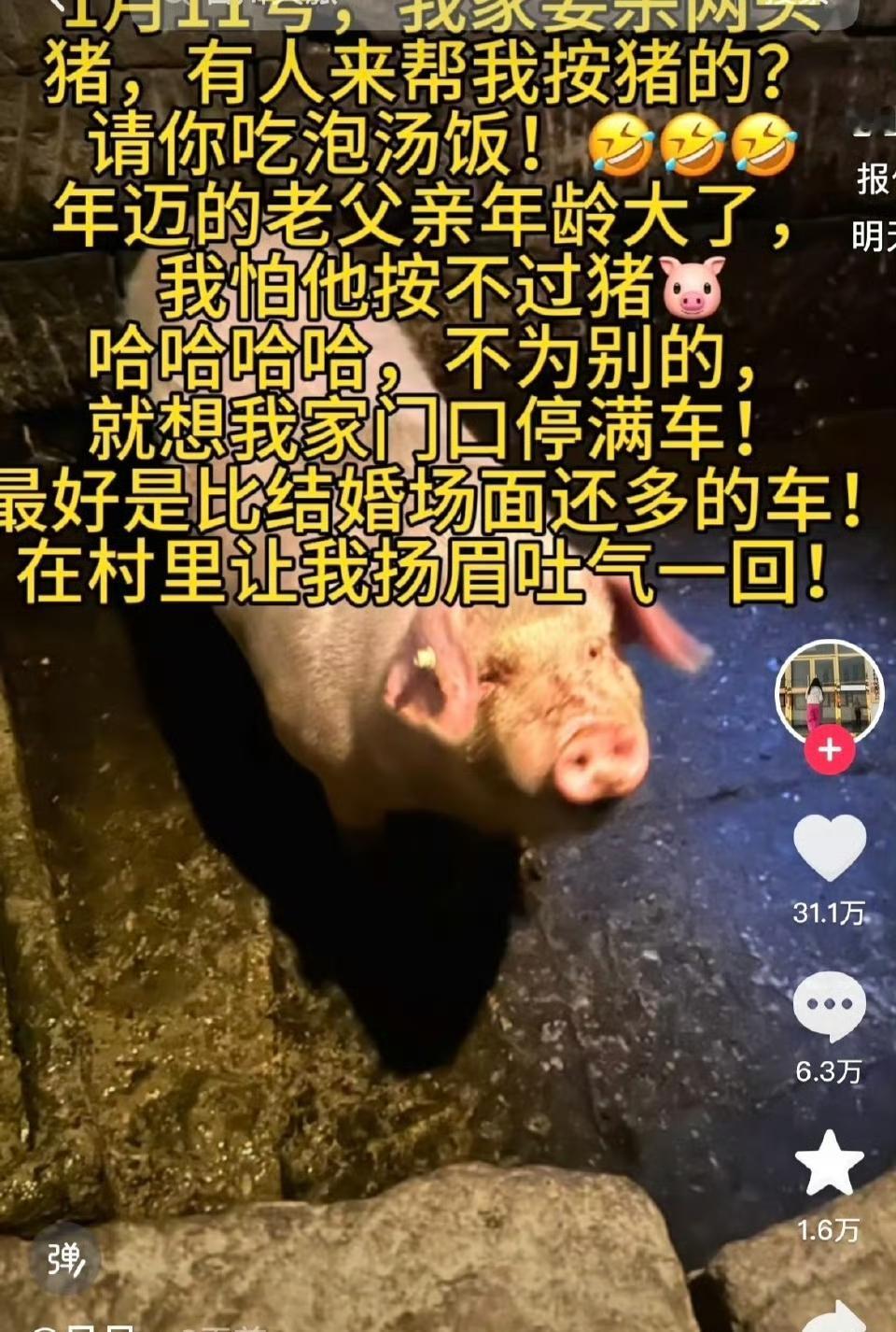 昨晚她直播到深夜，现场有打铁花、舞龙表演，起初民警默许无意外即可进行，后来因人流