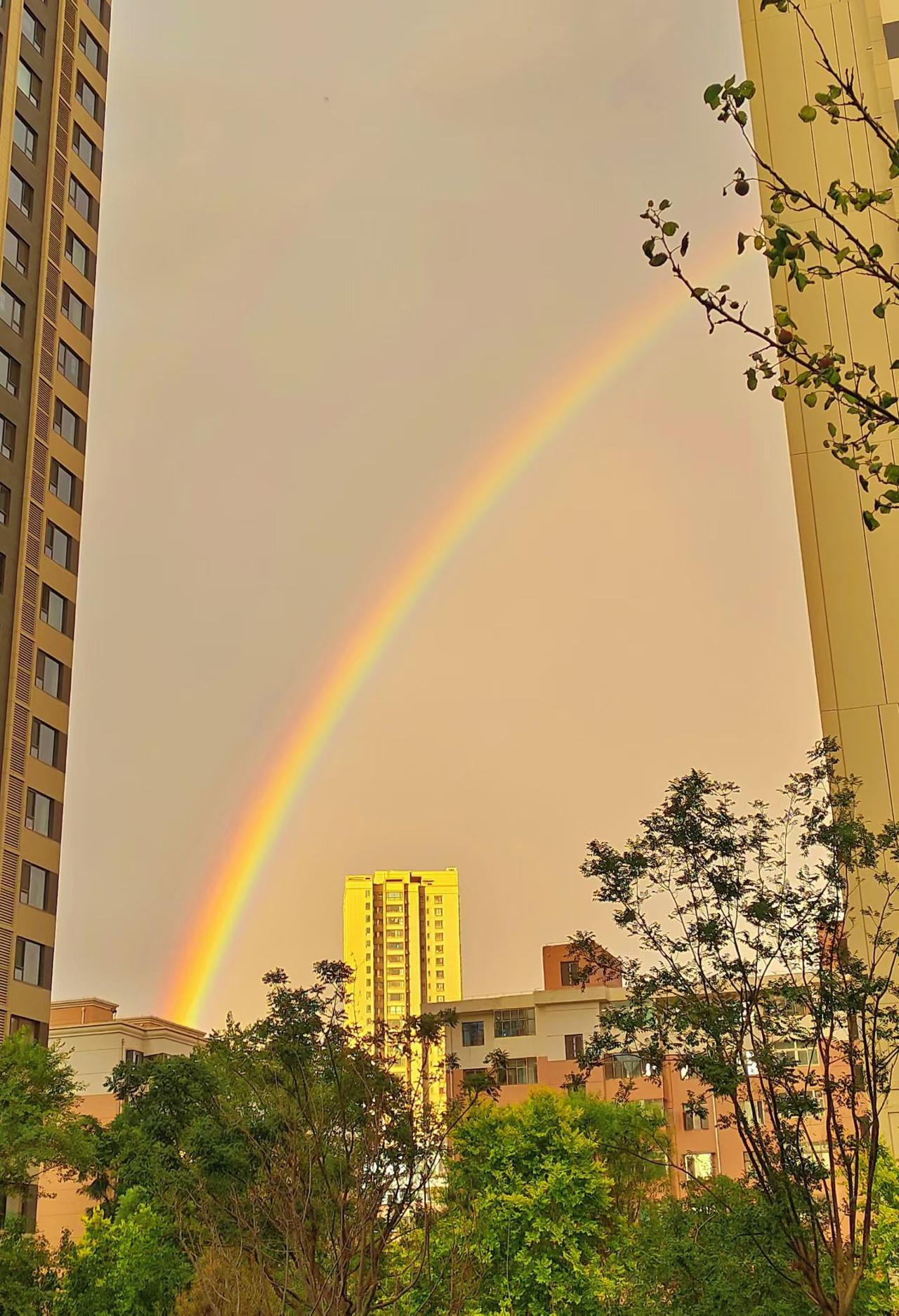 满朋友圈的彩虹
​下载了一点大家的
​祝大家都风雨之后见彩虹