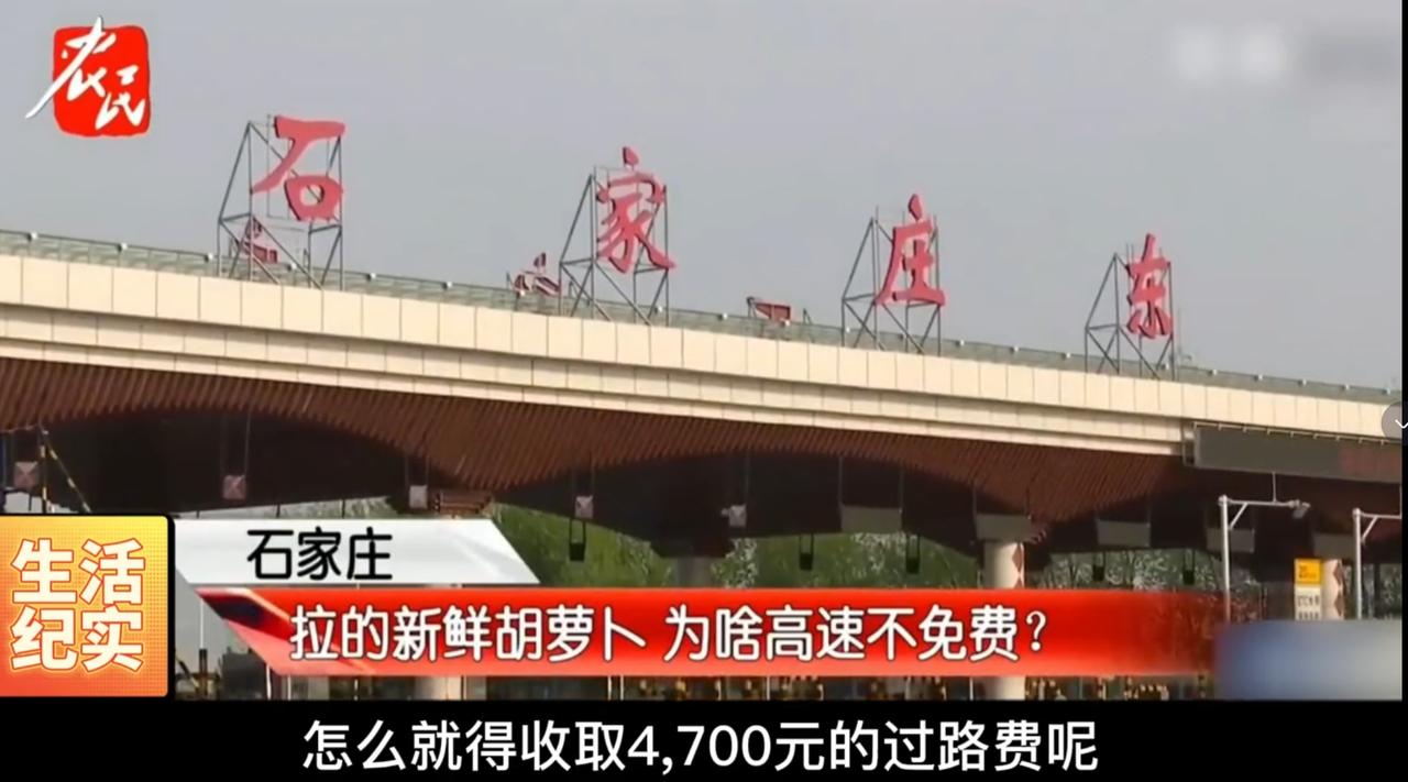 “必须严惩！”2022年，卡车司机拉一车胡萝卜下高速，却被工作人员阻止过绿通，认