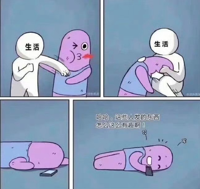 怎么这么有趣 ​​​