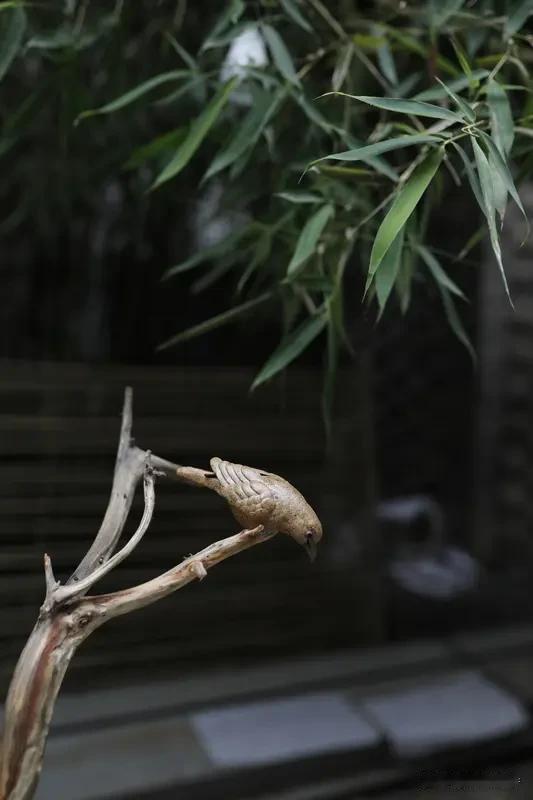 对联真是中华文化里超有魅力的存在！就像“园清树静花添彩”，短短七个字，直接勾勒出