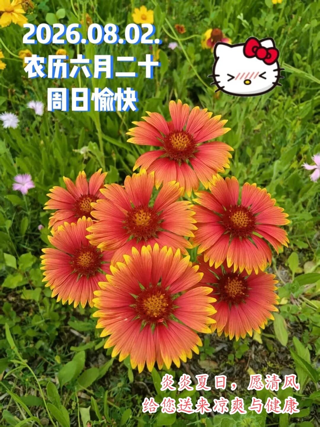 【健康养生】1 ）吃饭时习惯性把头埋向碗边，脖子前伸、背部弓起。这个姿势会让颈椎