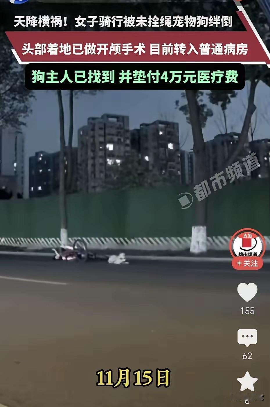 近日，成都一女生夜骑撞上未拴绳的狗，导致头颅出血，一度病危，经抢救后转入普通病房