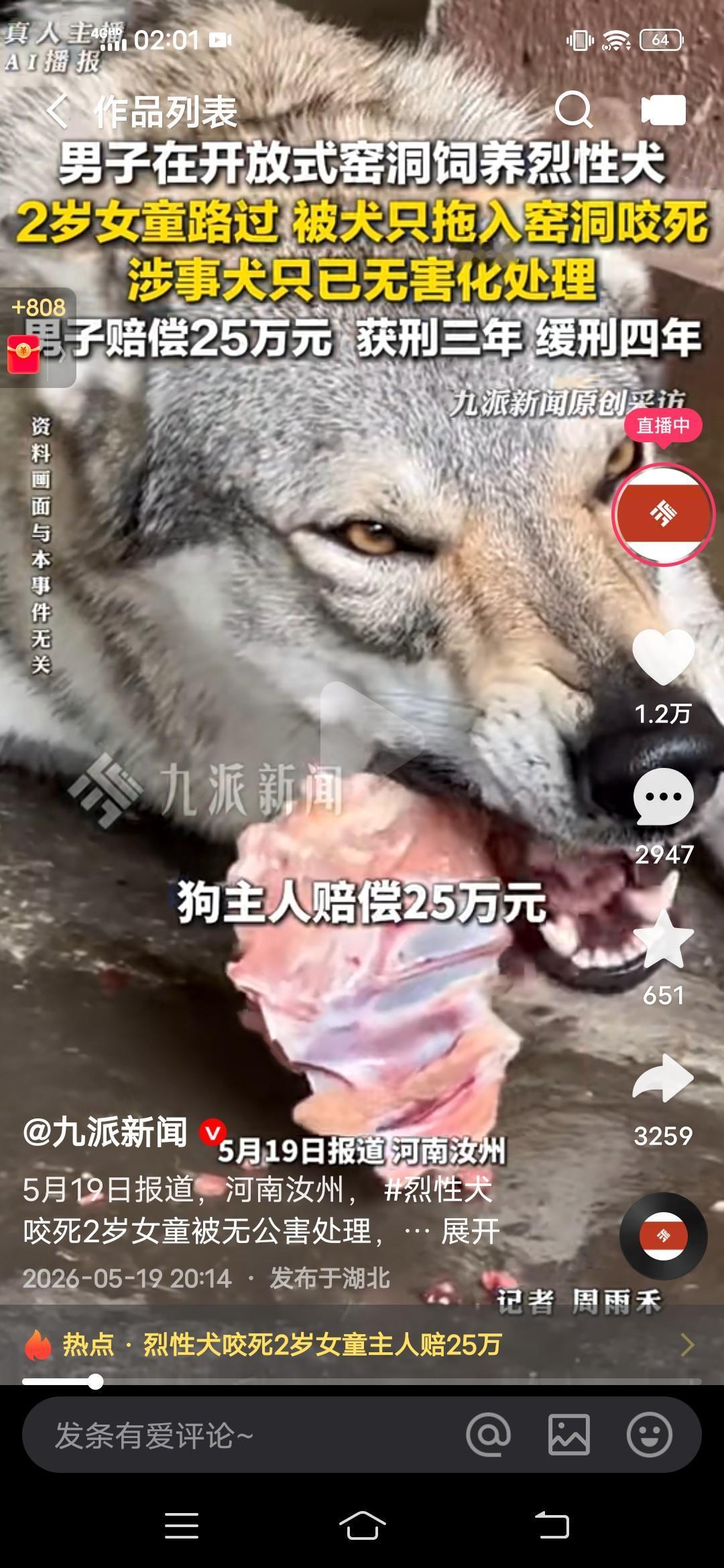 太惨烈了！土窑洞前，一只大狗经常挣脱锁链，但狗主人没当回事儿，这天，有一个两岁的