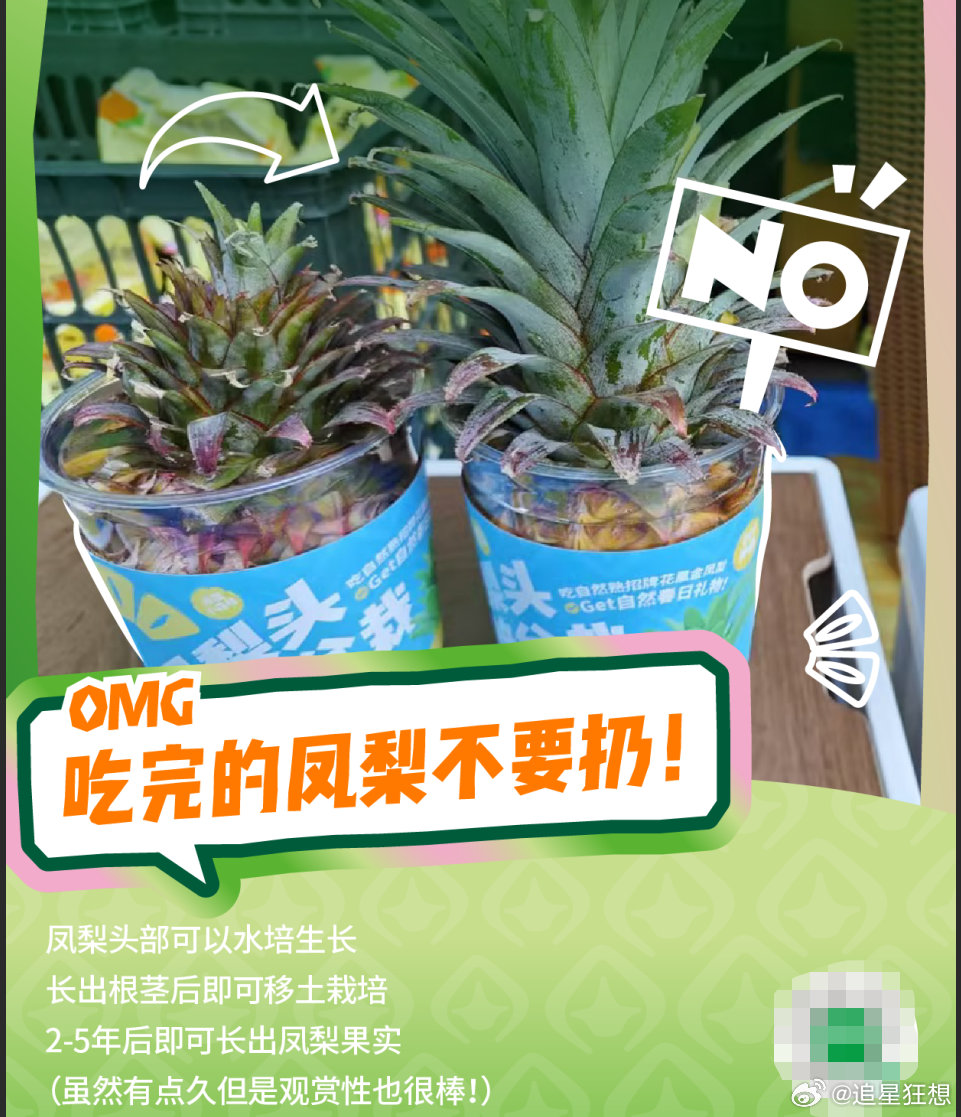 我在吃这方面的执行力海南道明寺甜而不渣百家媒体发起食品安全你我共建公益倡议实地体