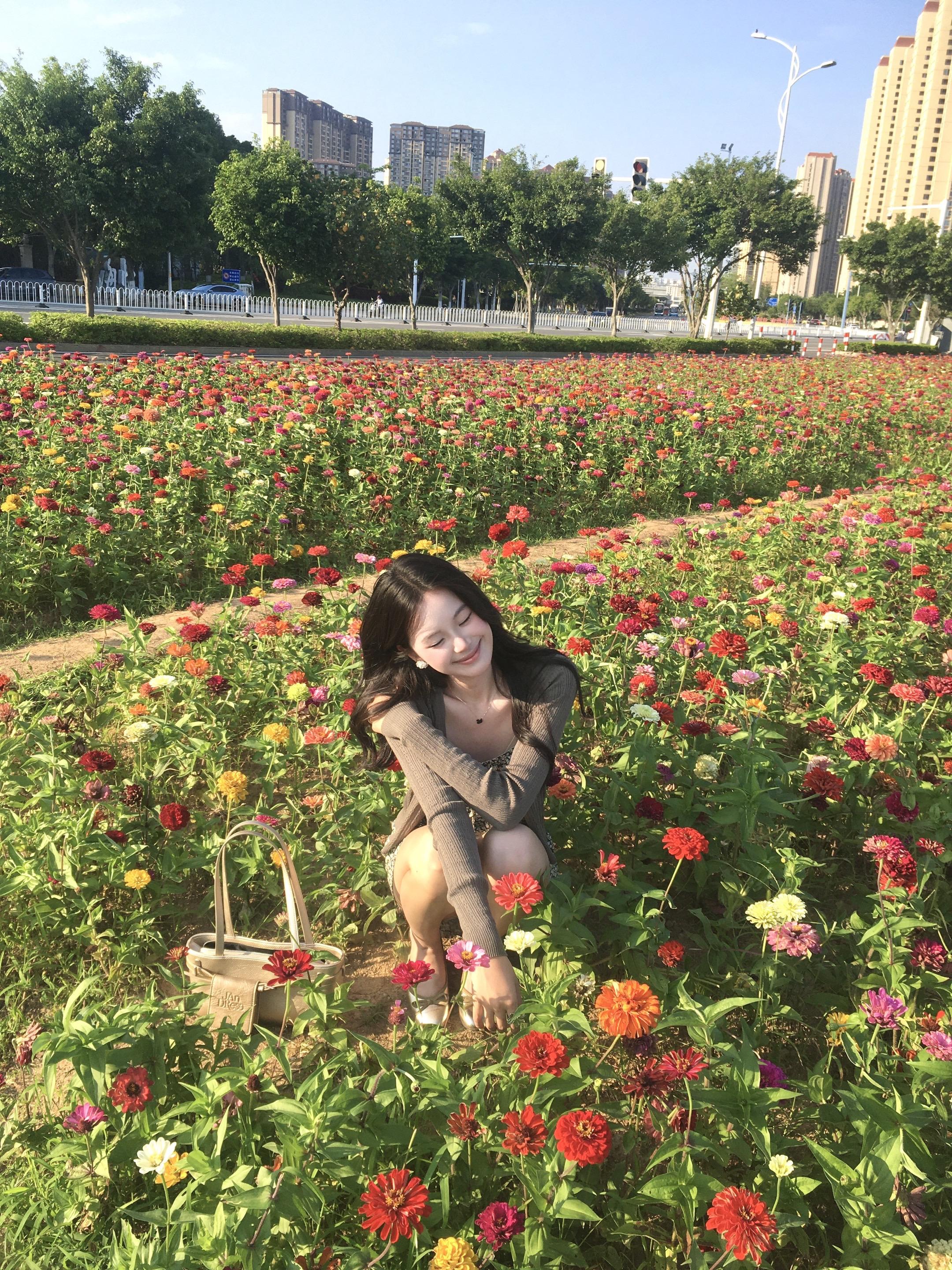 花儿们🌷💐