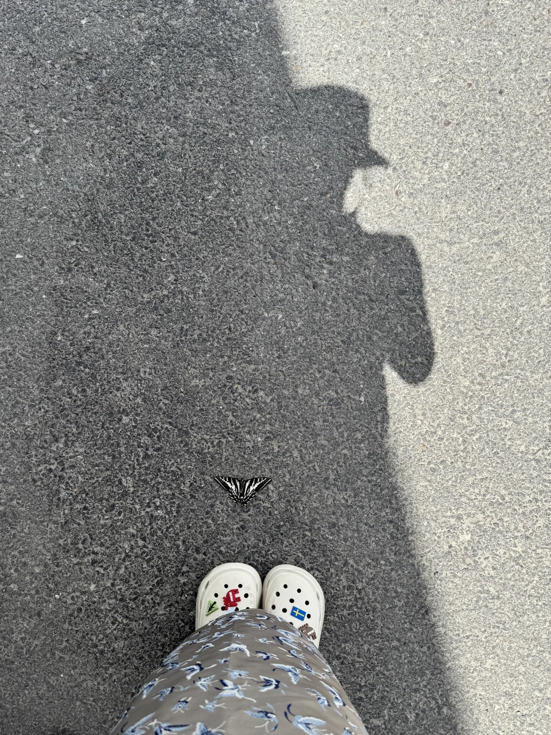 旅途中的妙不可言～🦋