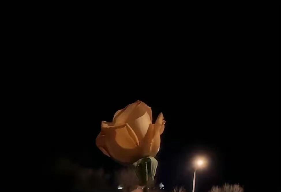 女人一定要找个，连废话都愿意回复你的人，因为不是他闲，而是把你看的太重，心里有你