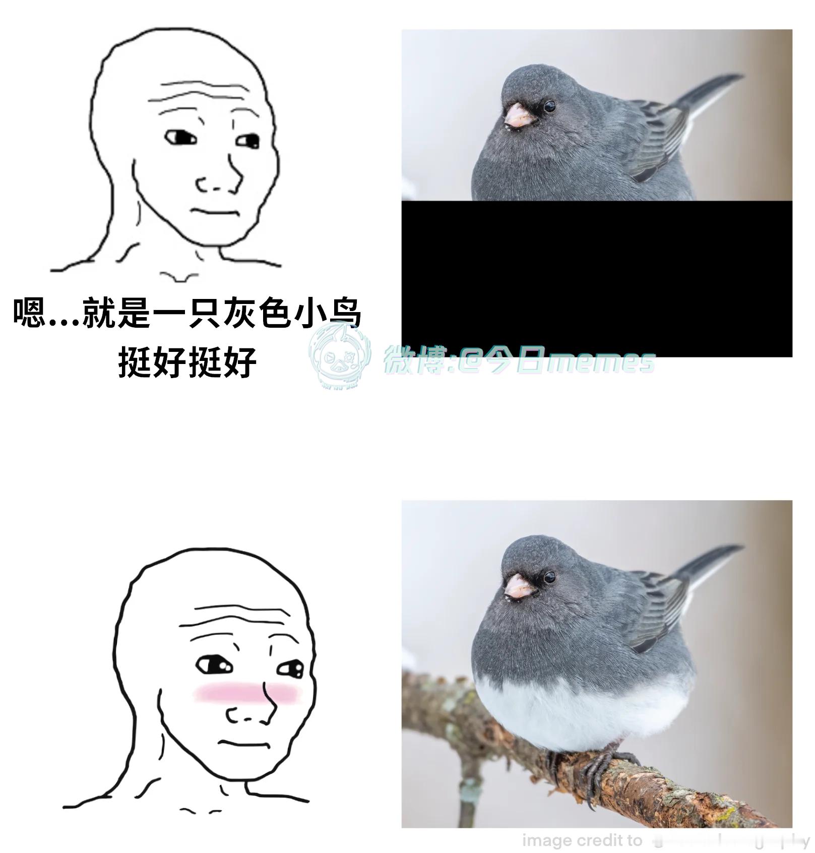 那这就（JocAPhotography）今日meme[超话]今日memes ​​