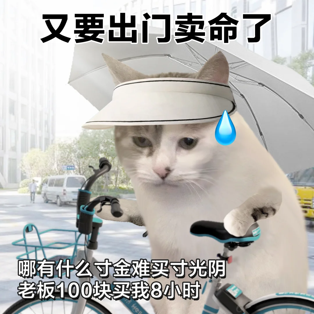 表情包 | 就这么水灵灵地上班了