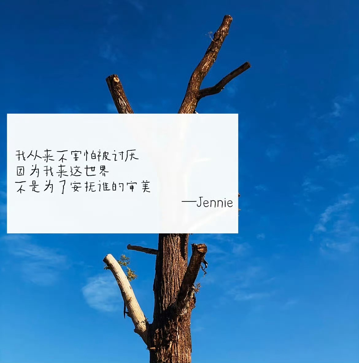 看完直接不内耗了 这些话直接治好了我的内耗和焦虑，活在当下！ ​​​