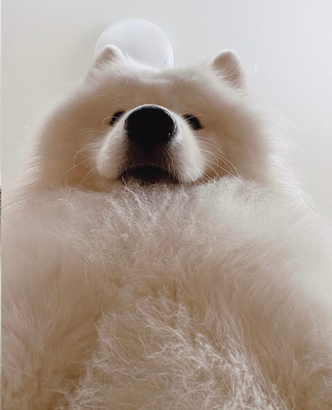 人，耶温暖的胸膛给你靠 