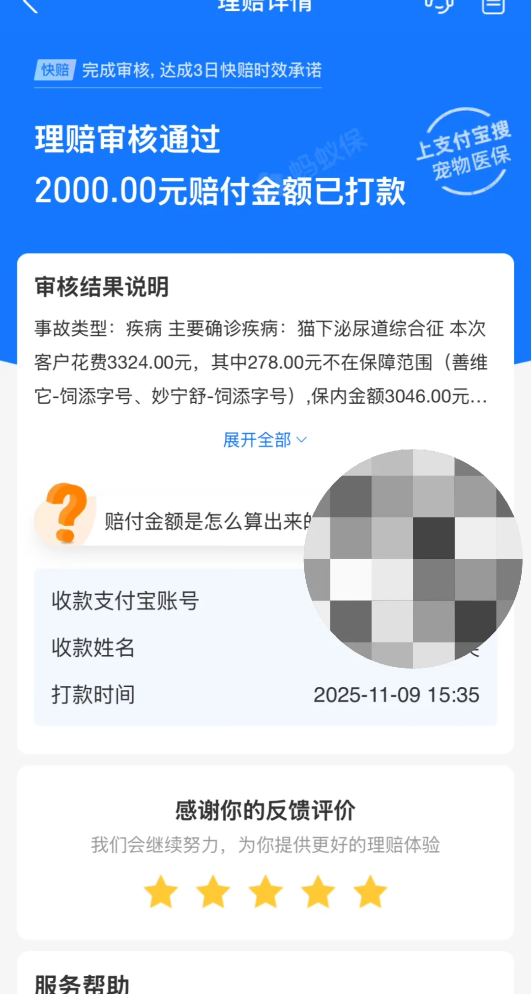 宠物险还是靠谱的，第二天就到账了