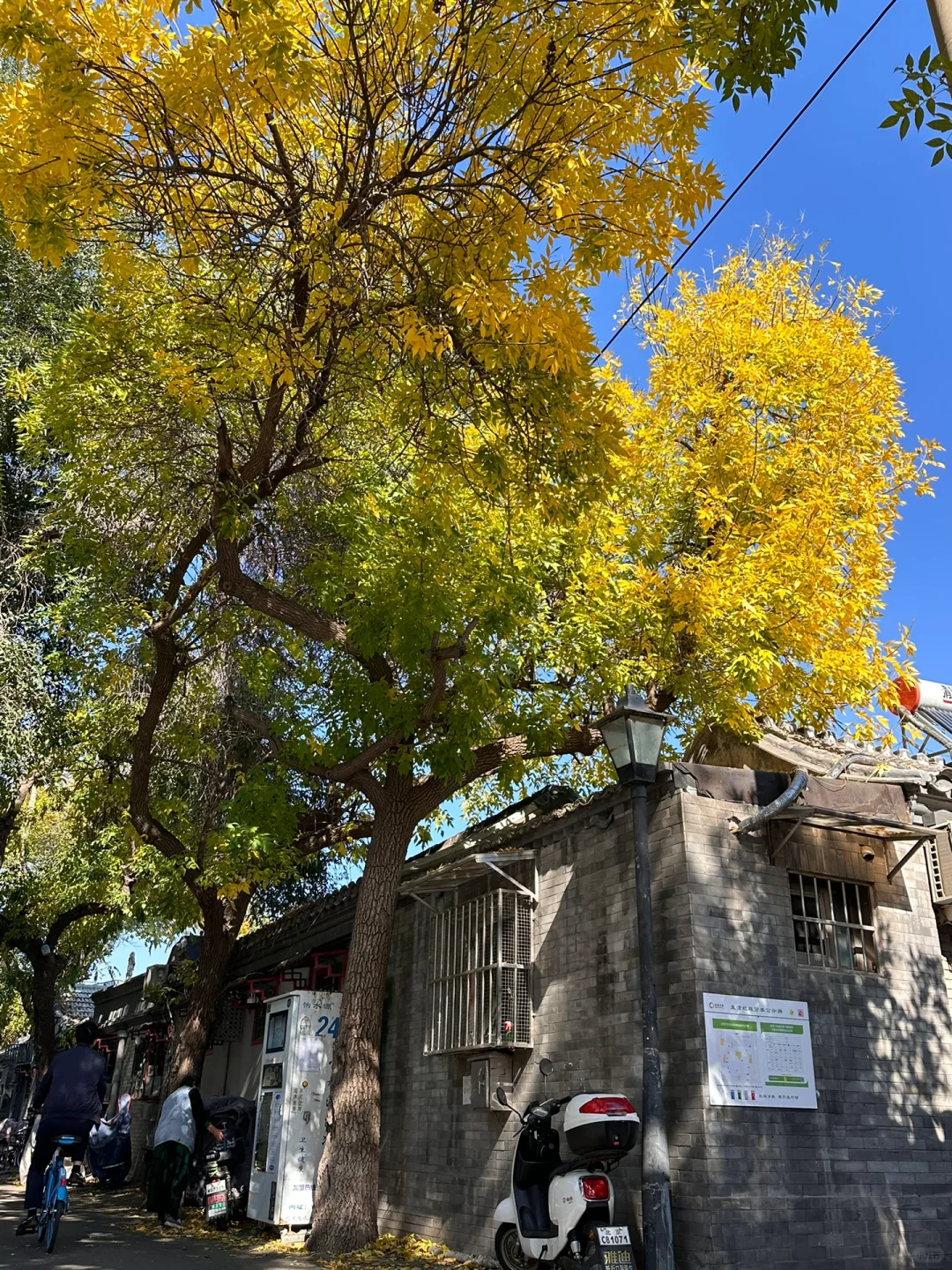 10.15北京胡同赏秋citywalk一日游，附路线
