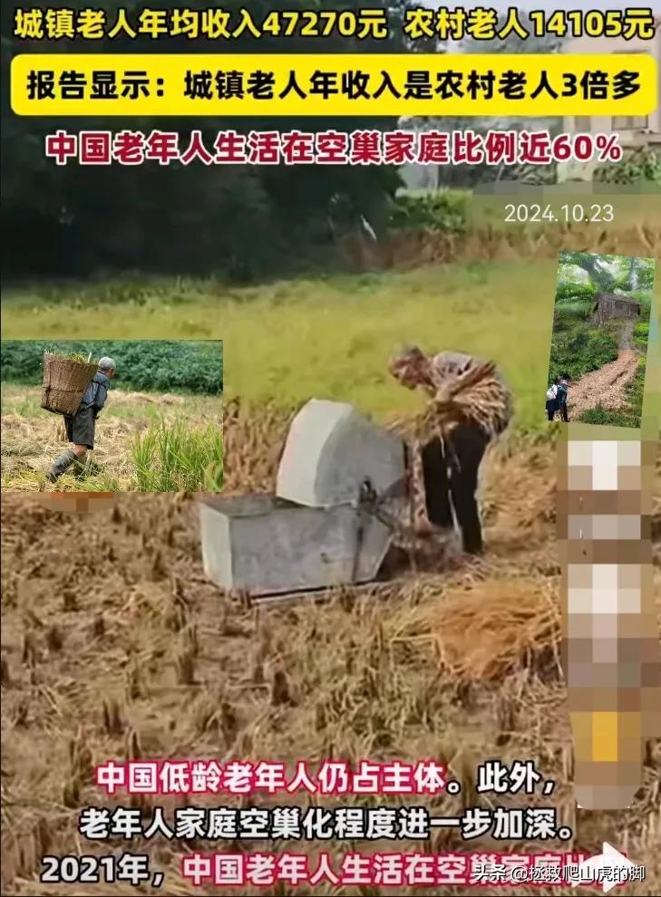 我国城镇老年人年平均收入为47270元，我国农村老年人年平均收入为14105元，