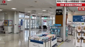 【日本八王子市计划购700支防熊喷雾以应对熊患问题】
6月24日，据法新社报道，