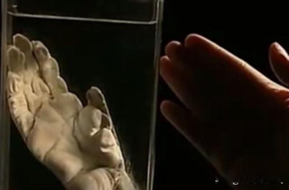 1957年，浙江发现疑似“野人”的生物，攻击小女孩。村民发现后将其打死，并吃掉，