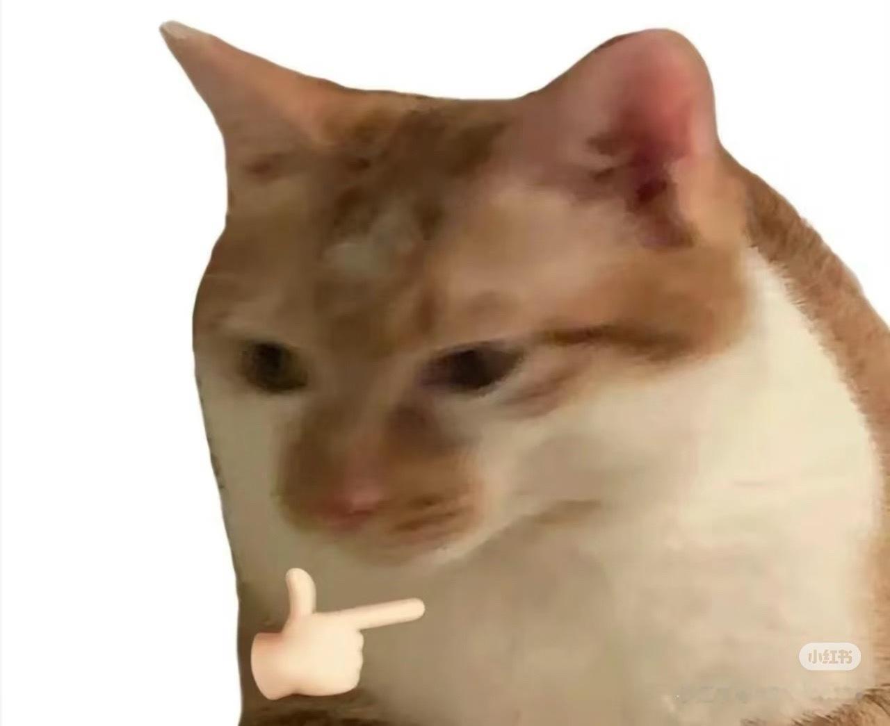 一款全固态电池理论上可用1000年什么什么全固态电池也要来了吗？课代表来和大家盘