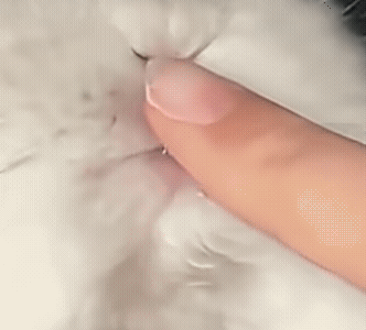 呃啊 ​​​