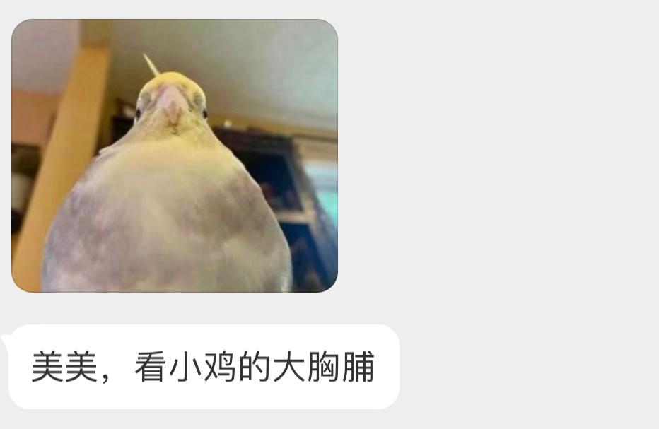 双开门小鸡！ ​​​