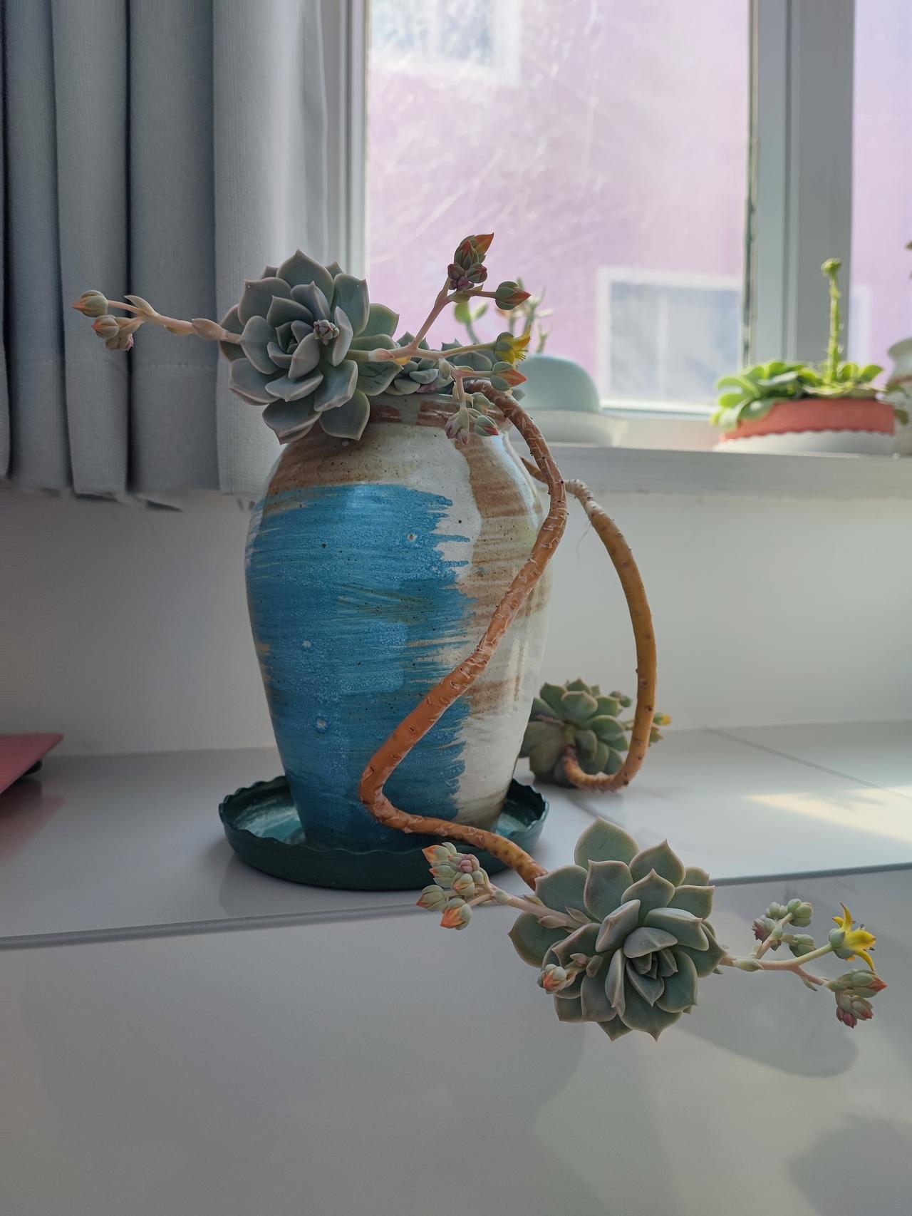 哎呀 被成嫂子[捂脸]损失好几百
骑了不久的电动车，
在家门口放着被别人给撞坏了