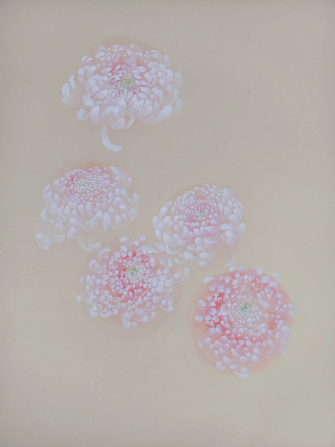 没骨菊花