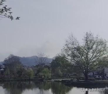 今年春天最想实现的心愿烟岚裹着远山，湖水揉碎淡天与树影，新柳轻垂梢头。青灰天色里