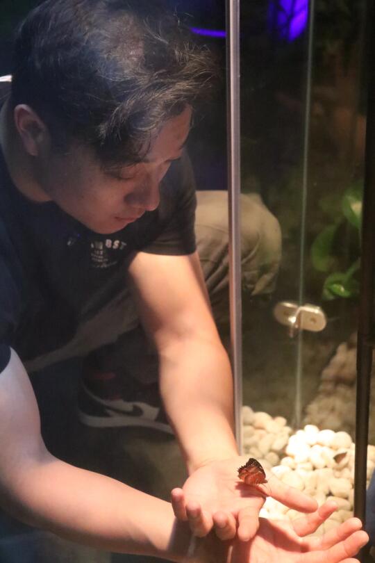 ✨救命！在西湖边发现了超解压的“虫虫星球”🌍