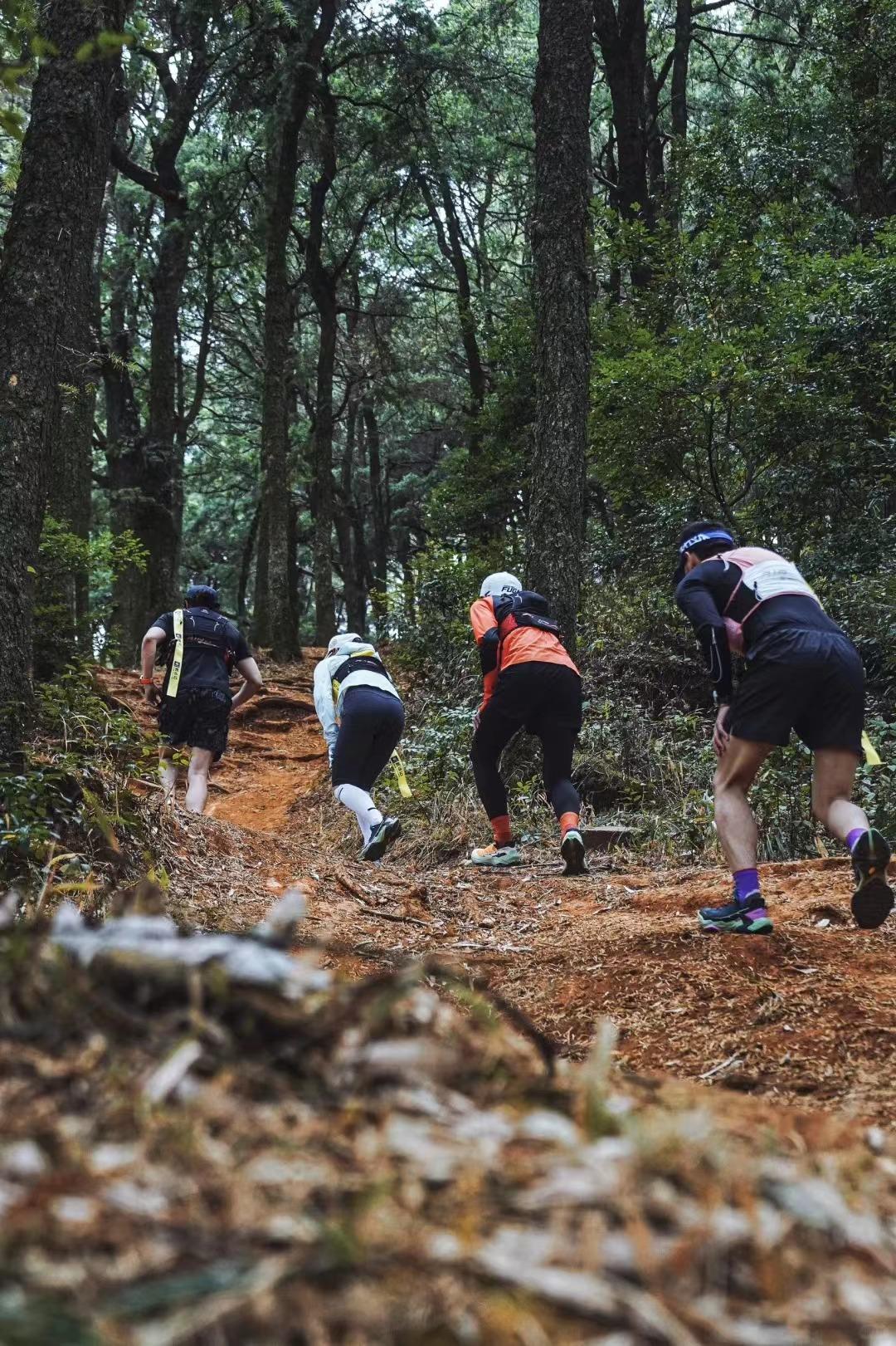 荒野求生靠报名费赚钱？张家界景区总经理做出回应。

近来张家界第二届荒野求生颇受