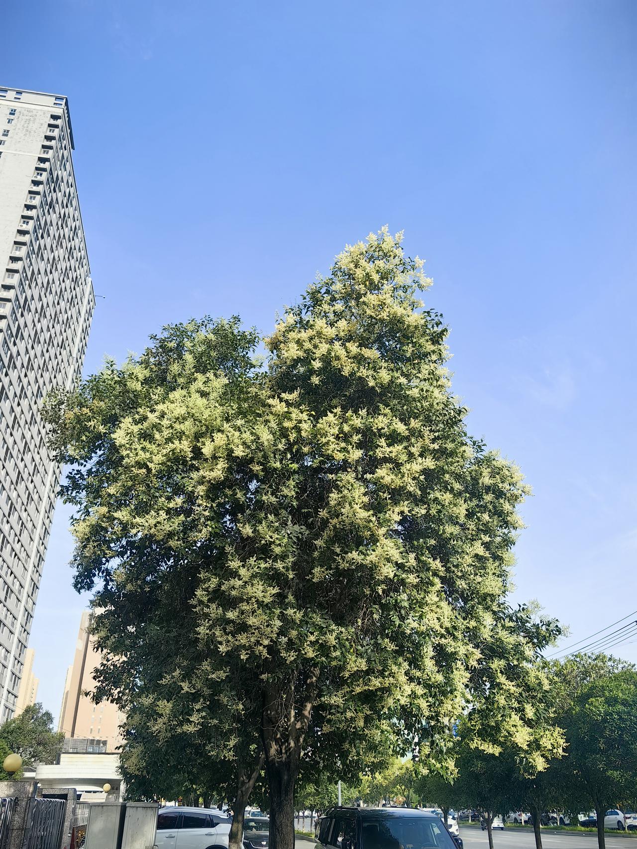 芒种逢高考，仲夏启新程
 
今天是2026年6月5日，星期五。今天是二十四节气的