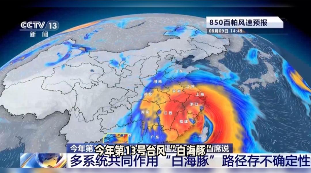 一场台风，为何能让苦心经营十五年的工厂瞬间化为废墟，令夫妻俩在废墟前崩溃大哭？