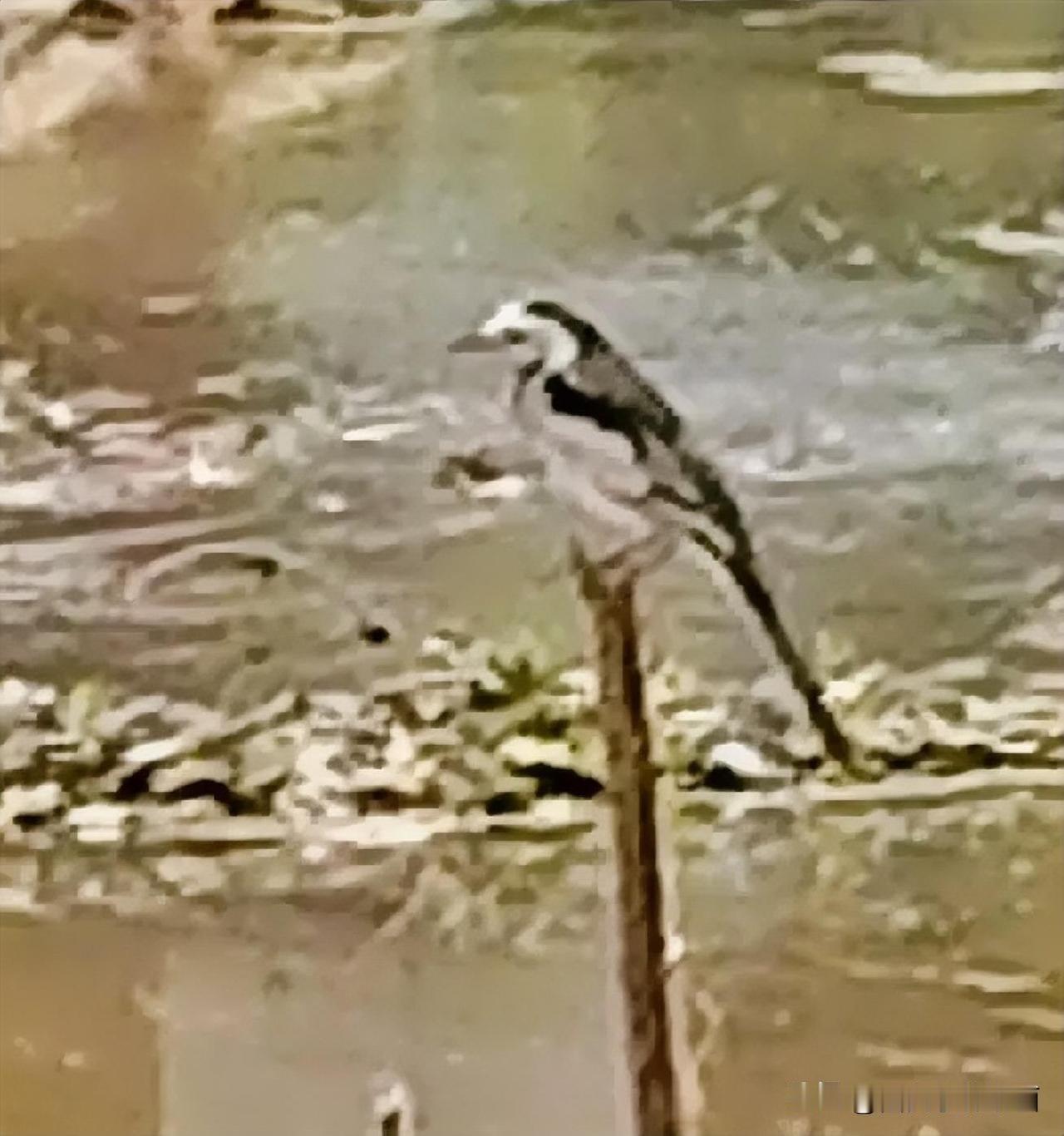 为我的真诚创作点赞！ 👍❤️🔥你也快来发布一条吧！带记录真实生活话题，更容易