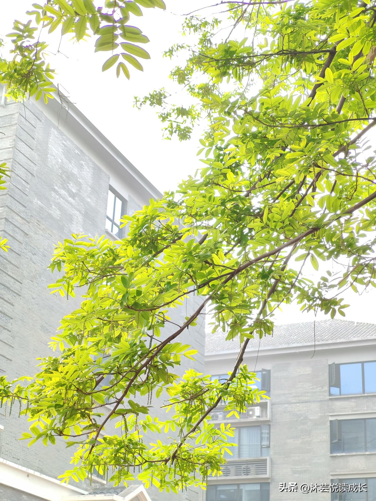 年老后才懂：每个人都是一座孤岛，摆渡人，终究是自己
 
人到了一定年纪，慢慢就有