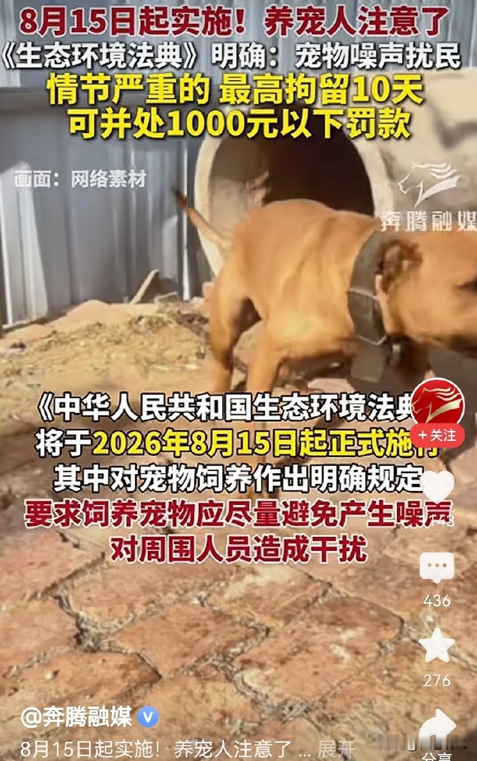 养狗扰民要挨罚，8月15日起规矩更硬了！
大家终于盼到这天了，以前大半夜狗不停叫
