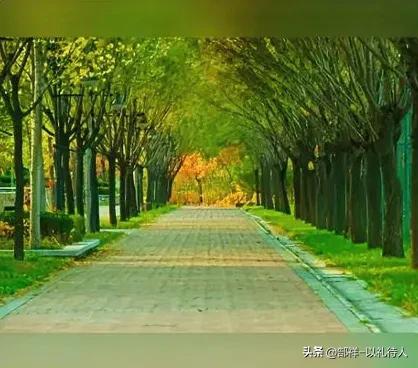 我驾不了四轮，舞不动航母，更乘不起飞船。只能把“人生10万公里”溶在岁月中，用思