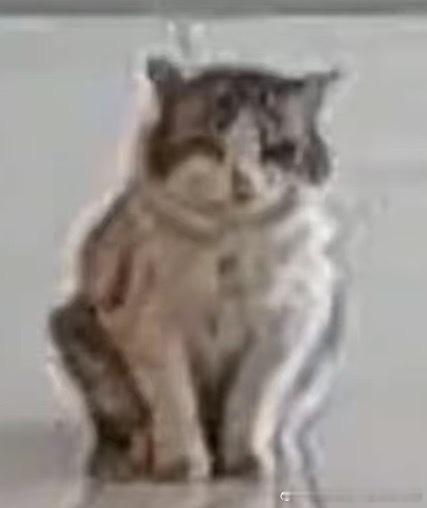 49690【丑猫】我发现只要在bot里面成功投完4个稿就能结束我四个月的打工生涯